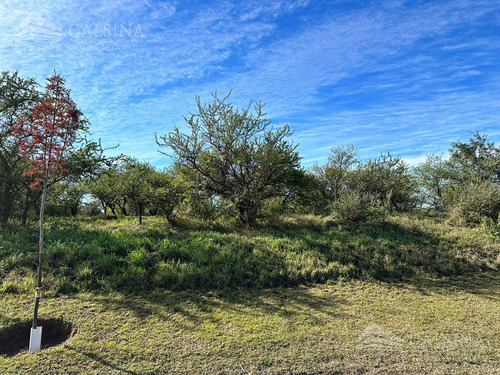 Imagen 5 de 7 de Terreno En Venta El Terron - Mendiolaza - Córdoba