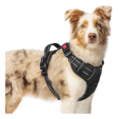 Arnés Para Perro Rabbitgoo, No Tirar, Ajustable, Talla M