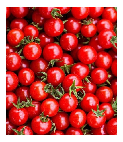 Tomate Cereja Vermelho/ 500mg De Sementes