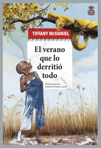 El Verano Que Lo Derritio Todo, De Mcdaniel, Tiffany. Editorial Hoja De Lata Editorial En Español