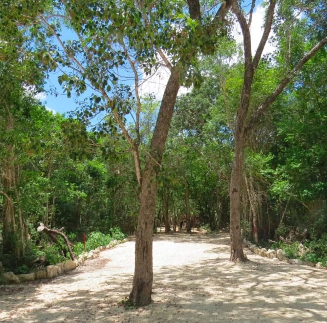 Venta De Terrenos En Aldea Coral, Tulum, Chemuyil Desde 1,88