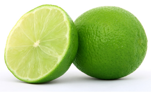 Limón Criollo Enano Para Maceta