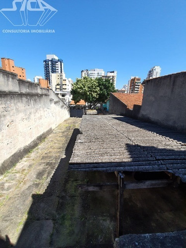 Imagem 12 de 14 de Galpao - Gl00016 - 70189587