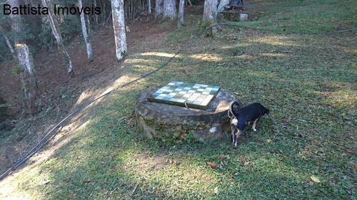 Imagem 17 de 30 de Chacara - 1653 - 34237545