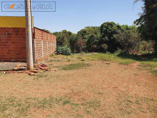 Imagem 3 de 6 de Terreno - Ref: 5224