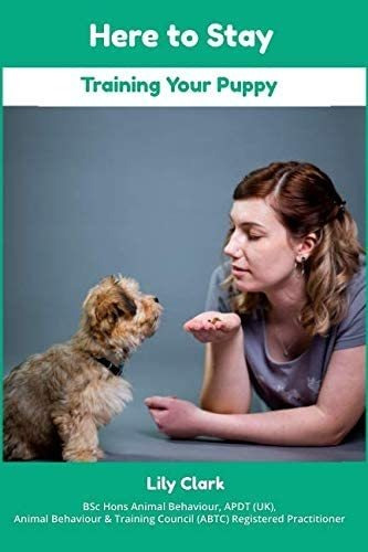 Libro: En Inglés Aquí Para Seguir Entrenando A Tu Cachorro