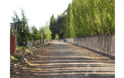 Imagen 2 de 9 de Terreno - General Roca