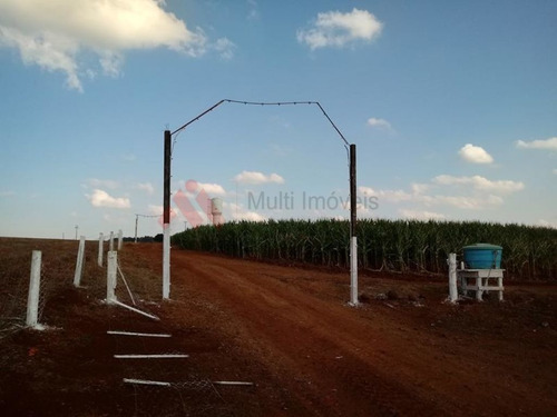 Imagem 1 de 14 de Oportunidade Sítio Criação Frangos Ibiporã - Mi265