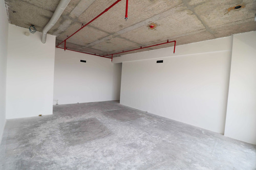 Sala Comercial À Venda Na Avenida Doutor Vital Brasil, Butantã, São Paulo - Sp - Liv-2746