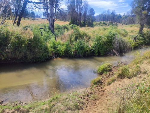 Venta De Terreno Agricola En Santa Juana