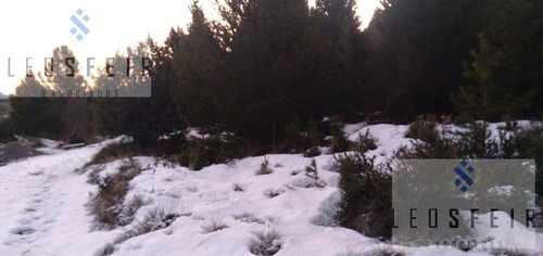 Imagen 8 de 14 de En Venta Terreno 2000m2/ Bº Ruca Hue / San Martin De Los Andes / Neuquén
