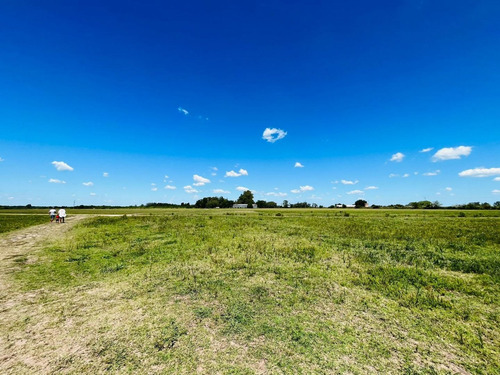 Imagen 3 de 7 de Terreno En Venta En Zárate