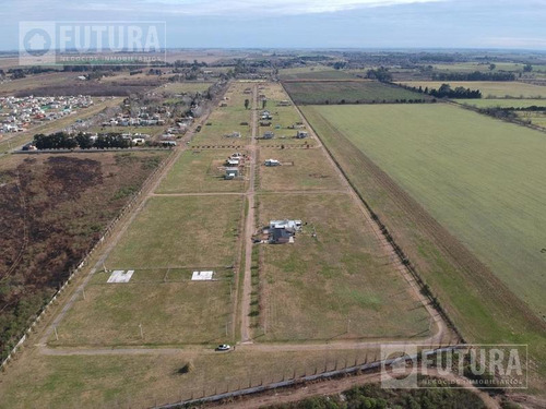 Imagen 10 de 28 de Terreno En Venta En Ibarlucea - Barrio Las Casuarinas Lote 38