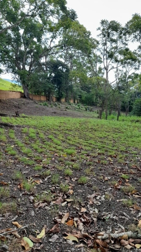 Imagen 17 de 18 de Granja En Peribeca 1.4 Ha