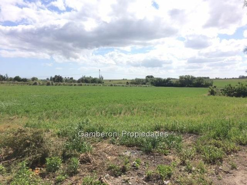 Chacra De 5 Hectareas Y 1/4. Con 100 M De