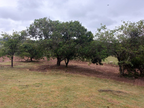 Imagem 14 de 17 de 5.000 Terreno Com Excelente Topografia ( Condomínio )
