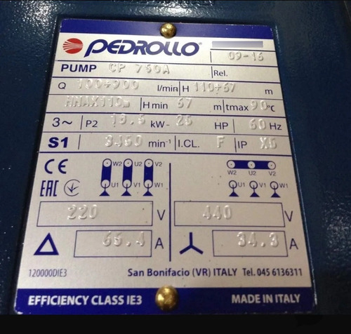 Bomba Centrífuga Pedrollo 25 Hp, 220-440 Voltios. 2x2 Italy