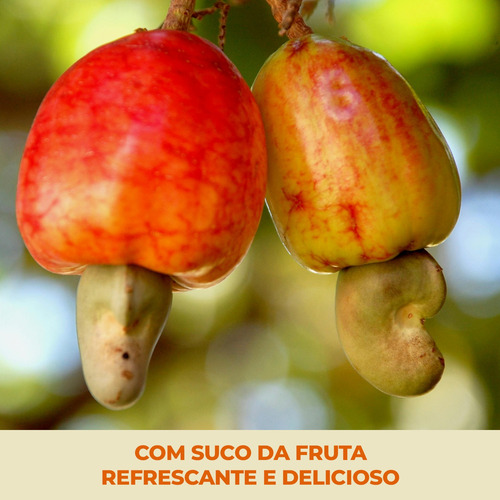 Suco Del Valle Caju Sem Açúcar Adicionado 1l Caixa 6 Un