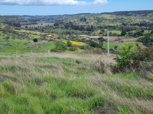 En Venta 2 Hectáreas En El Convento, Comuna De Santo Domingo