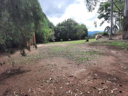 Imagem 14 de 30 de Chácara Com 8.300 M² - 3 Dormitórios - Bunjiro Nakao - Ibiúna Sp - Ch511294v