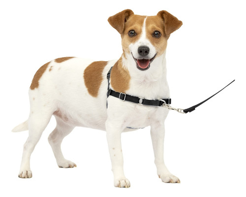 Arnés Para Perros Petsafe Easy Walk No-pull, Pequeño, Color