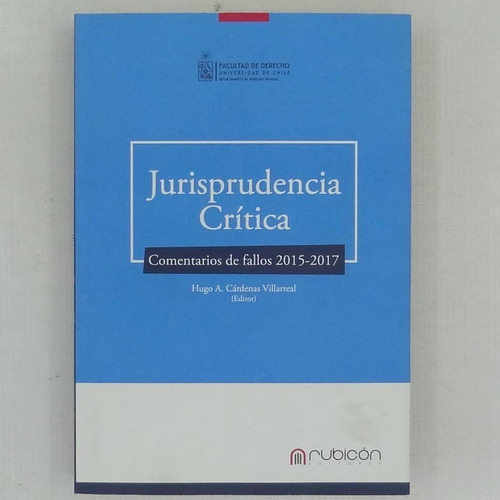Jurisprudencia Critica, Comentarios De Fallos, 2015 - 2017