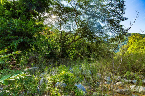 Imagen 8 de 13 de Lote Rio