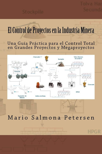 Livro: Controle De Projetos Na Indústria De Mineração (espan