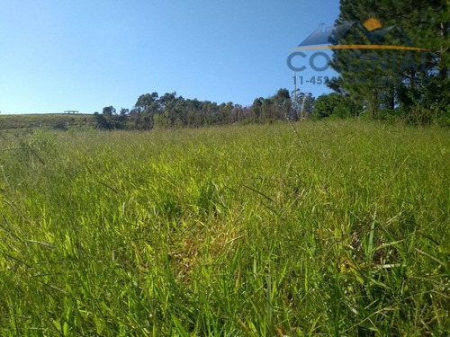 Imagem 6 de 8 de Area Para Venda Champirra, Jundiaí 30.000,00 M2 Útil, Somente Para Fins Rurais. - Ar00027 - 32186038