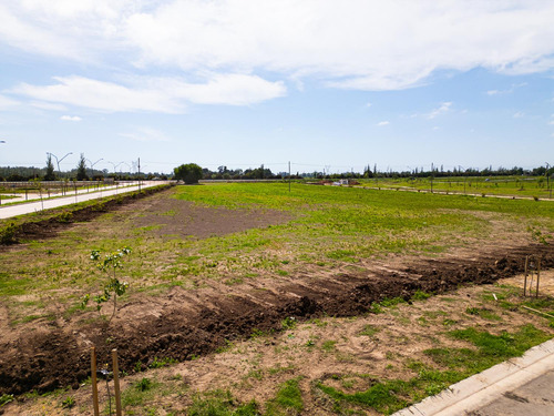 Terreno 300m2 - General Lagos - Ecolagos Este - Distrito Cero