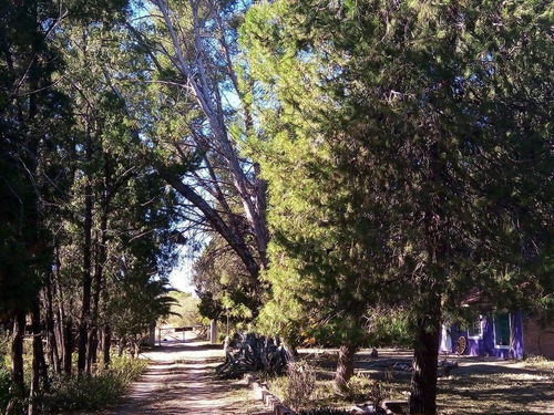 Imagen 10 de 14 de Campo En Venta De 24 Has. Con Casa.. Traslasierras