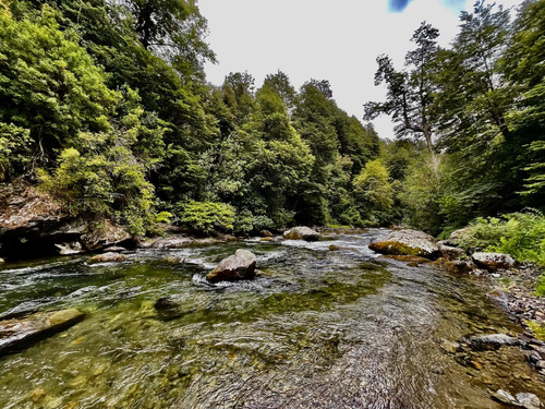 Paradisiaca Parcela En Villarica, Curarrehue