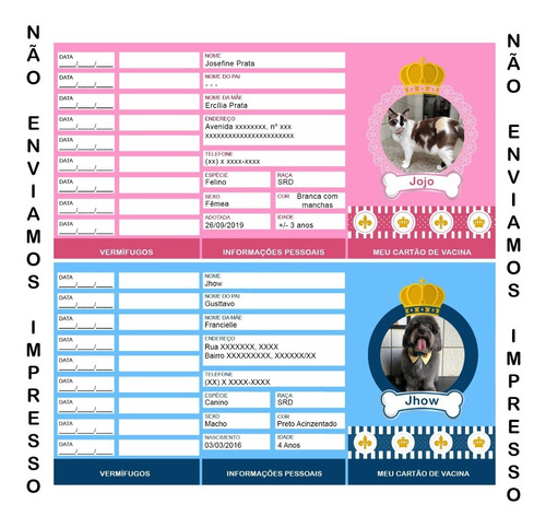 Cartão De Vacina De Cachorro / Gato / Pet - Arte Digital
