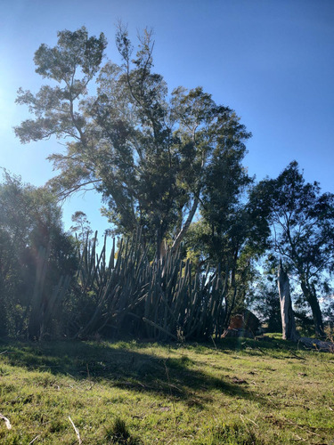 Hectareas En Venta En Oliden