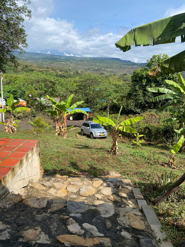 Ven Permuto Finca En La Mesa San Joaquín