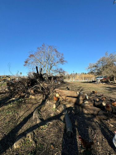 Venta Lote En Camino A Los Talas Berisso