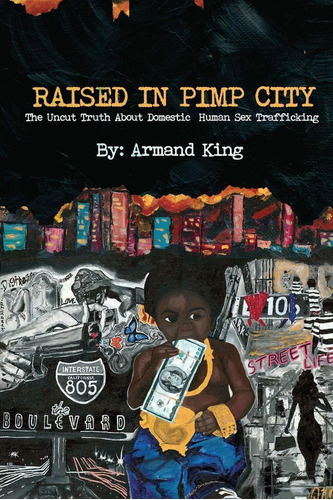 Libro Raised In Pimp City: The Uncut Truth About Domestic