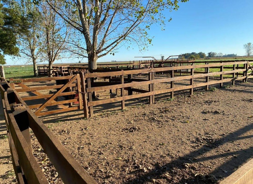 Imagen 19 de 26 de Quinte En Venta - 5 Dormitorios 3 Baños - 37ha Totales - Campo Funke