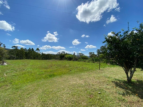Chácara 7.000 M² - Passo Do Pinto - Gravataí - Rs - 2506 - 69255516