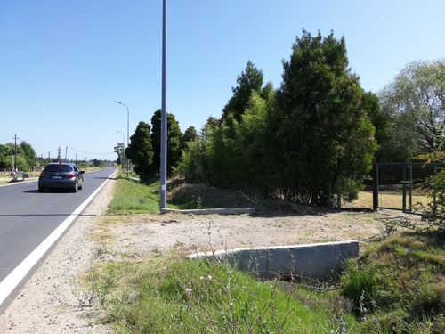 Terreno 1600m2 C/galpón 45m2 Ose Valioso Entorno Rural. R.34