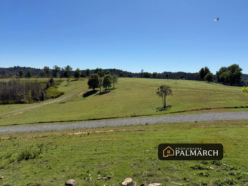 Venta Parcelas Urbanas En  Penco