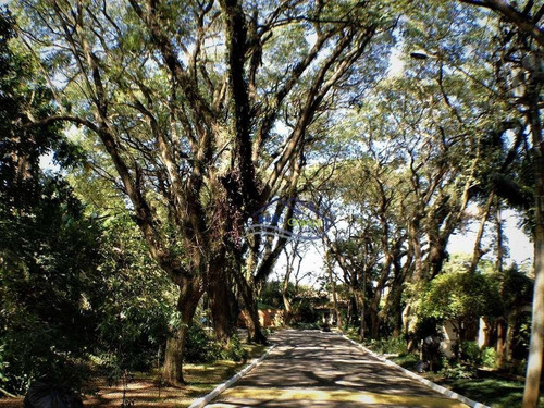 Imagem 4 de 4 de Granja Viana - Vila Vianna - Te0223