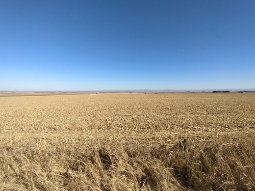 Venta Campo Agrícola Zona Río Cuarto - Córdoba