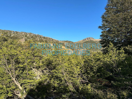 Terreno Vistas Únicas De 6000 M2 Con Proyecto Valle Escondido - San Martin De Los Andes