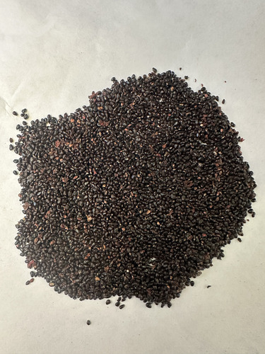 Semilla De Pitaya (cactus) 100 Semillas X $250.00 Pesos