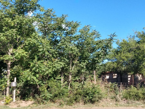 Imagen 4 de 5 de Terreno 270 M2 Venta R14 La Ramada San Javier Córdoba