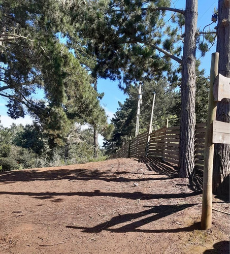 Rebajada Linda Parcela Con 2 Cabañas En Pinares De Algarrobo