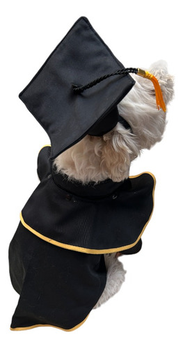 Disfraz De Graduado Para Mascotas Talla 1