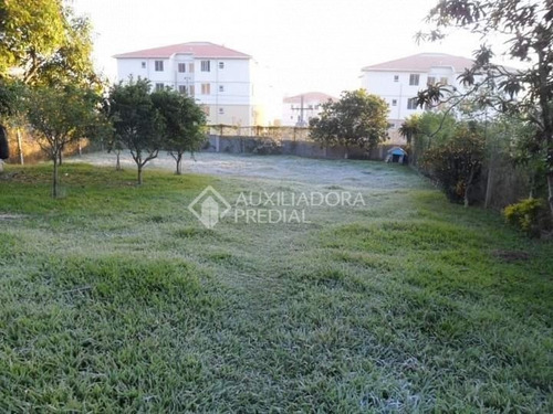 Imagem 2 de 15 de Terreno - Morro Santana - Ref: 376254 - V-376254