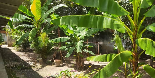 Casa En Venta Casco Central Montalban Edo Carabobo G14-07